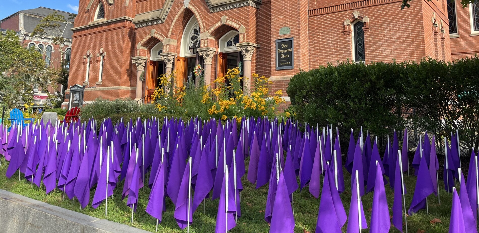 hundreds of purple flag on the lawn of a church