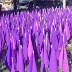 Purple flags planted on church lawn